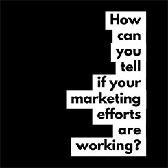 How Can You Tell if Your Marketing Efforts are Working?